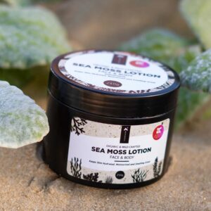 SEAMOSS LOTION