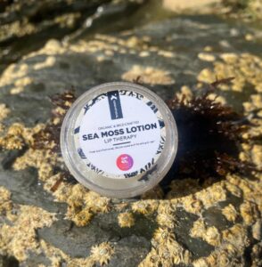 Khanatural Seamoss Aloe Vera lip therapy