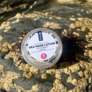 Khanatural Seamoss Aloe Vera lip therapy
