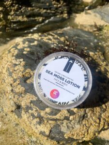 The Pocket size Seamoss lotion with Aloe Vera