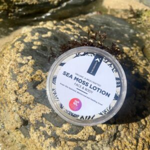 The Pocket size Seamoss lotion with Aloe Vera